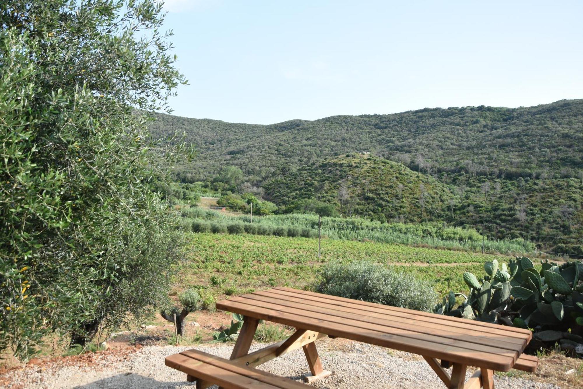 Elba Borgo Di Latrano Apartment Magazzini  Bagian luar foto